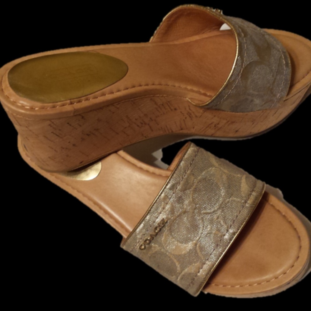 Coach Metallic Joanne Platform Wedges